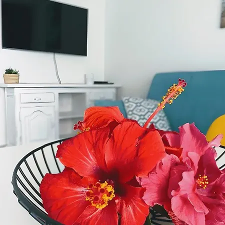 Red Hibiscus Irent Fuerteventura Lägenhet *