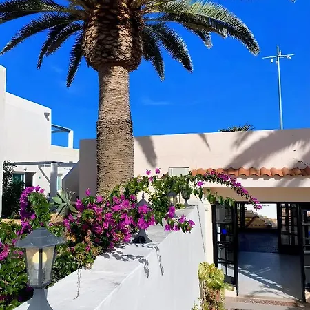 Red Hibiscus Irent Fuerteventura * 科拉雷侯