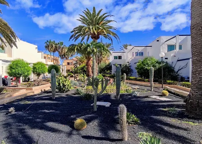 Red Hibiscus Irent Fuerteventura *