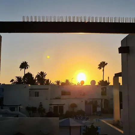 Red Hibiscus Irent Fuerteventura *