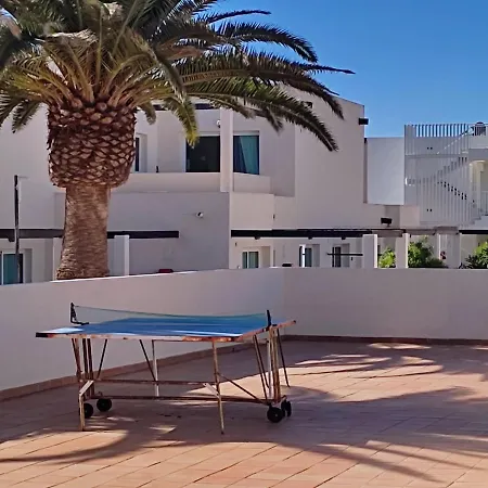 Red Hibiscus Corralejo Center Irent Fuerteventura