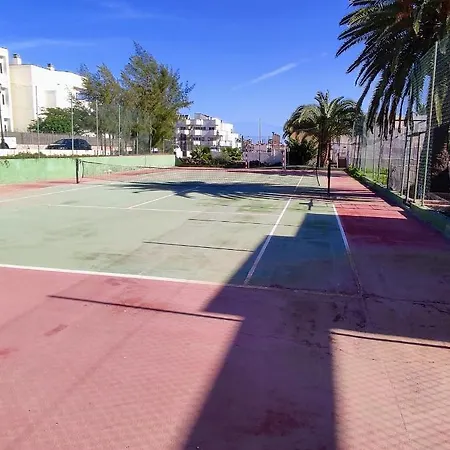 Red Hibiscus Irent Fuerteventura Corralejo