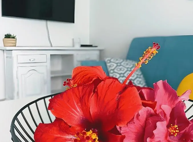Red Hibiscus Irent Fuerteventura Apartman *