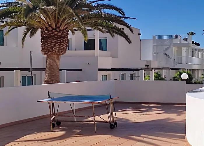 Red Hibiscus Irent Fuerteventura