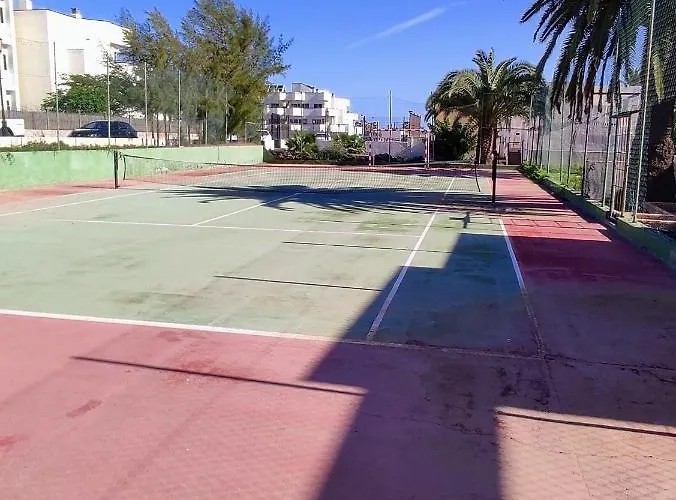 Red Hibiscus Irent Fuerteventura Corralejo